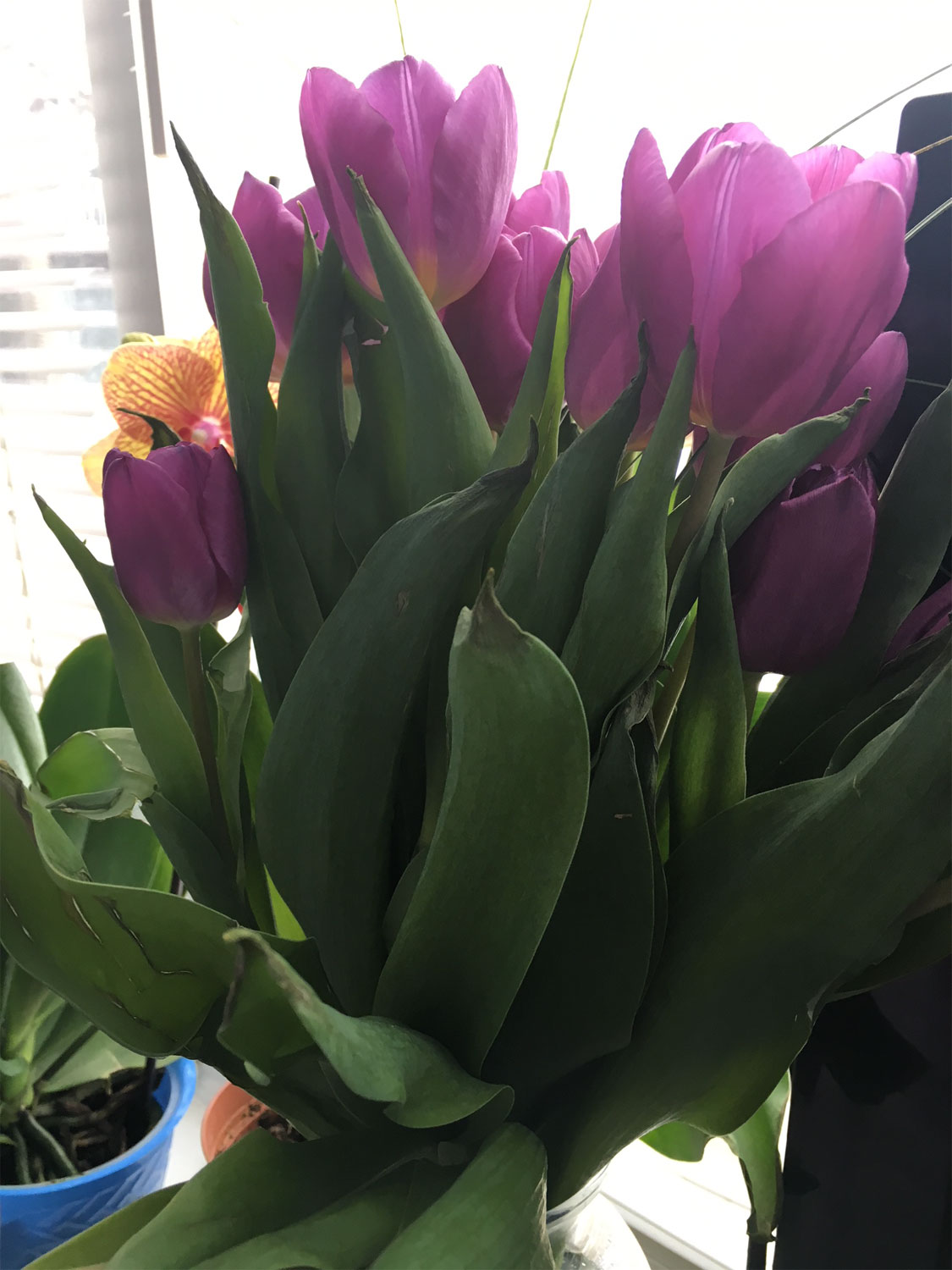 Alinke Bouqette Of Flowers Orchid